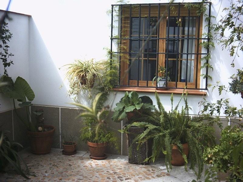 Casa Rural La Brena Talaván Zewnętrze zdjęcie