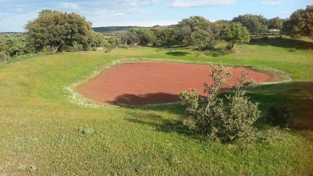 Casa Rural La Brena Talaván Zewnętrze zdjęcie